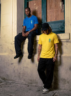 Camiseta Brasil